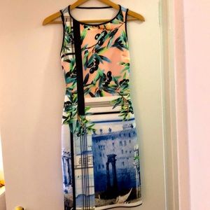 Clover canyon neoprene print dress